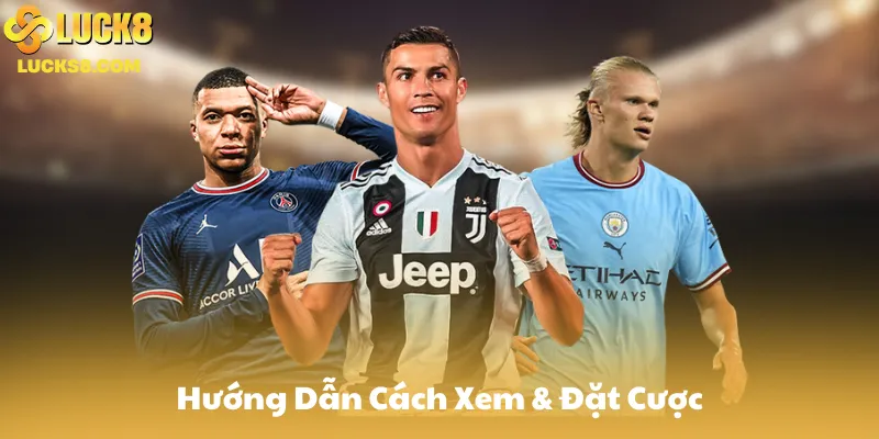 Hướng Dẫn Cụ Thể: Xem & Đặt Cược