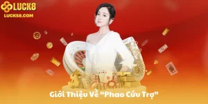Giới Thiệu Về “Phao Cứu Trợ” Trên Luck8