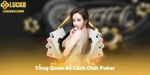 Tổng Quan Về Cách Chơi Poker