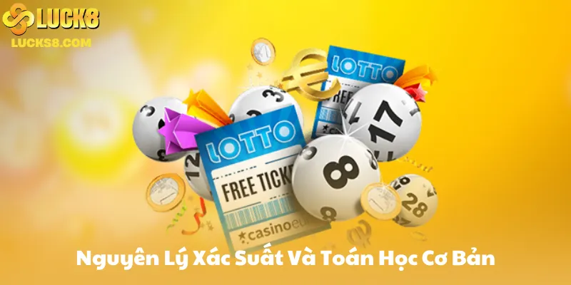 Nguyên Lý Xác Suất Và Toán Học Cơ Bản Áp Dụng Cho Bạch Thủ Lô